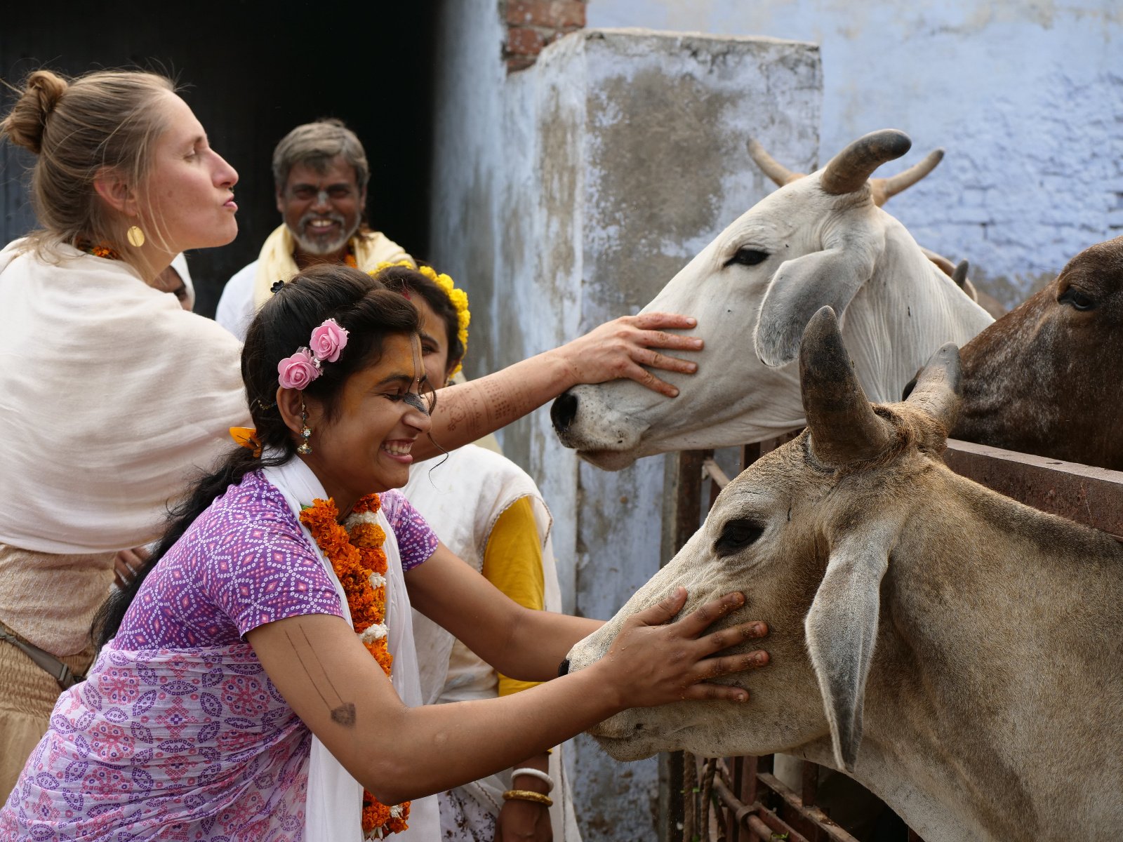  268 Gopashtami Radha kunda Govardhan 19.11.04